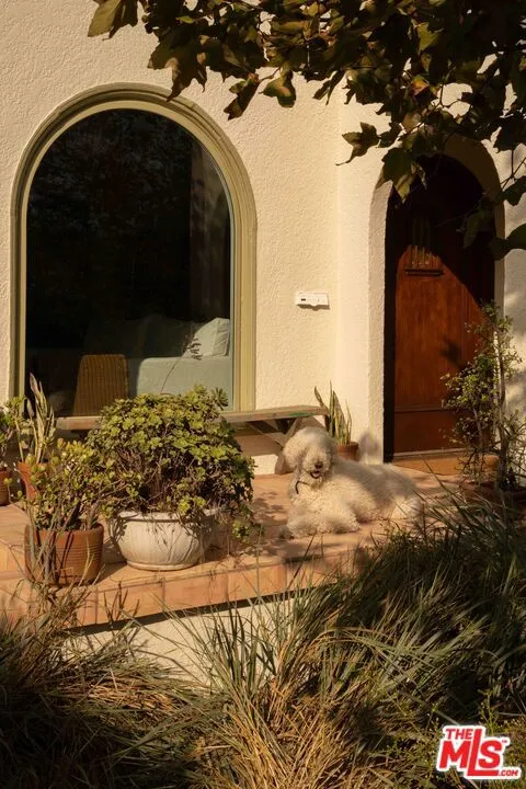 4179 S Van Ness Avenue, Los Angeles, California 90062 home-pic-4